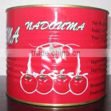 ISO Certified Canned Tomato Paste Factory photo-3
