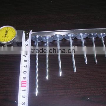 Factory sale directly durable umbrella galvanized roofing nails with twisted shank