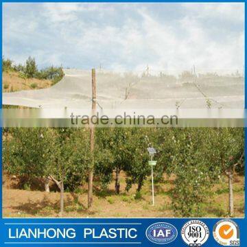 (shandong factory) cheap price Agriculture anti-hail netting , hail guard net ,from 50gsm to 100gsm