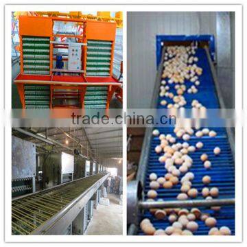 China factory manufacture durable automatic egg collector