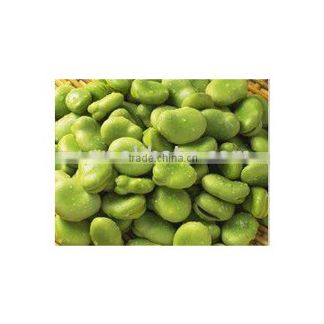 china lentil bean