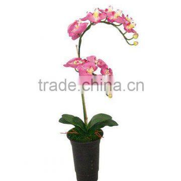 Potted Silk Orchid Flower(Canton Fair Participator)