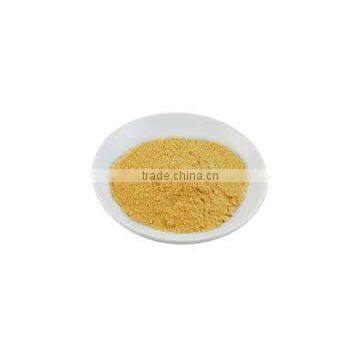 PAPAYA FRUIT POWDER FOR AYURVEDIC REMEDY photo-3