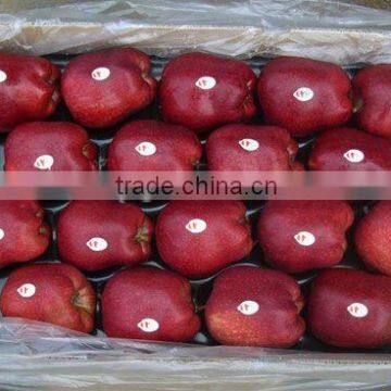 best price huaniu apple in market