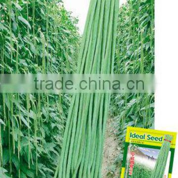 Newest Top Quality Asparagus Beans Seeds Chinese Long Green Beans Seeds For Growing