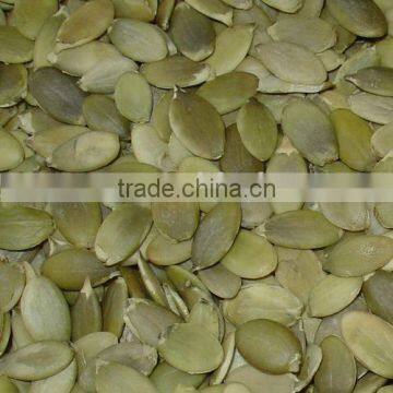 Pumpkin Seeds