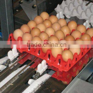 30 Eggs Plastic Egg Packaging Tray