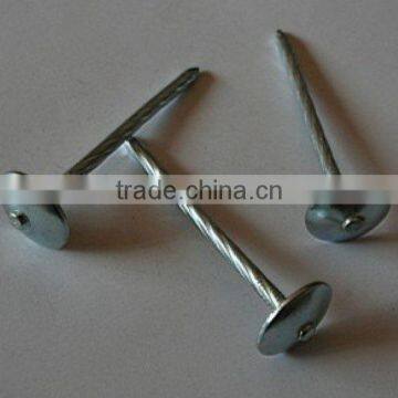 Galvanized Roofing Nails