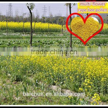 Natrual all kinds of flower rape from china bee pollen known as immortal multi-flower rape bee pollen