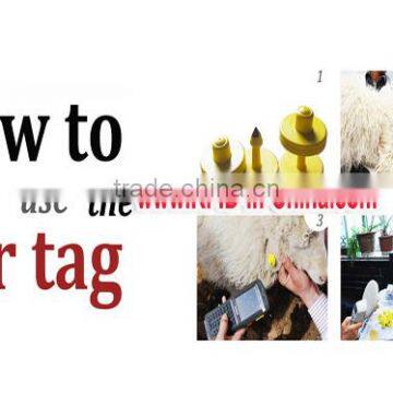 134.2KHz Cattle RFID Tags RFID Ear Tags for Cattle Tracking photo-3