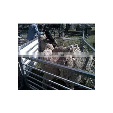 Manufactory Direct Heavy Duty Galvanized Corral Fence Cattle Panel Easy Establish Oem Wholesale photo-6