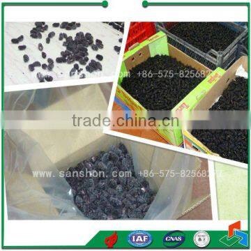 LSZ-0.5 Fluidized Quick-freezing Machine photo-4