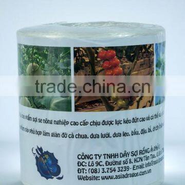 Tomato Twine for Florida Weave Cultivation photo-3