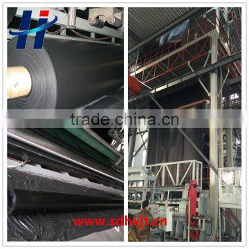 Municipal Engineering Special High Quality Geomembrane photo-5