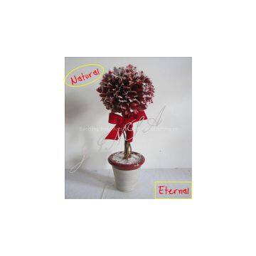 ARTIFICIAL BONSAI TREE FROM PROFESSIONAL FACTORY DIRECTLY