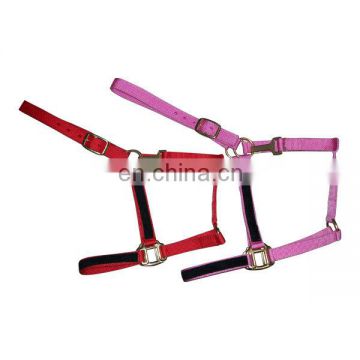 multi color horse nylon halters