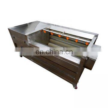 Taizy Potato Ginger Carrot Peanut Orange Taro Washing Machine photo-4