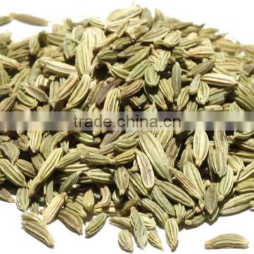 Good Quality Fennel seed suppliers