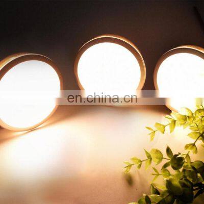 Motion Sensor Battery Powered LED Light for Entrance Hallway Garage and Bathroom photo-2