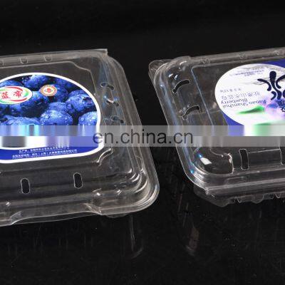 Clear HIPS Plastic Sheet for Vacuum Forming photo-5