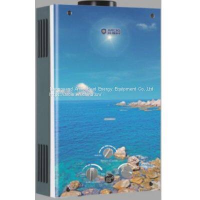 FH1003 Glass panel series  wall mounted natural gas water heater for 6L 7L 8L 10L 12L