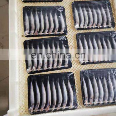 Wholesale One Night Dried Capelin Fish for Export photo-2