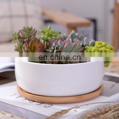 New Design Succulent Planter Wooden Mini Plant Set Small Low Bowl Chinese Perfect Turtle Garden Flower Pot Ceramic White