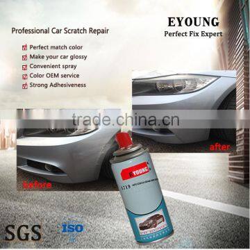 Auto Touch up Aerosol Spray Coating