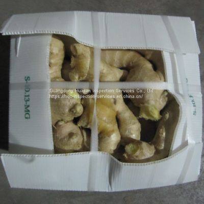 Inspection Service China for Gingers photo-3