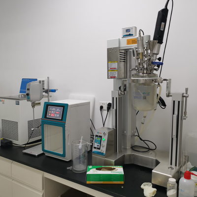 AMM-10S Laboratory Multi-functional Reactor Supplier-Customizable Mixing Emulsification for Use in Fume Hoods With Ultrasonic Waves