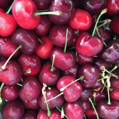 Top Quality Pure Fresh Fruit Cherries For Sale At Cheapest Wholesale Price photo-2