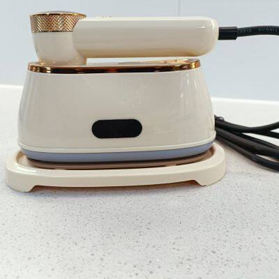 auto detailing clatronic?  cleaner automotive iron steamer
