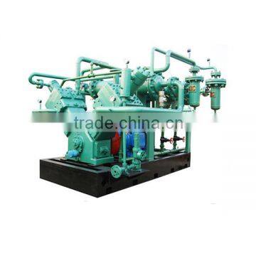 Oil free biogas compressor