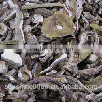 Wild Mushroom Factory Supplier for Imports photo-6