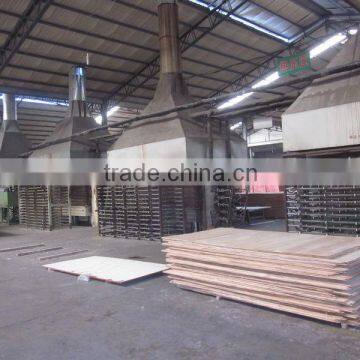 Russia Market Film Faced Plywood,Romania Market Film Faced Plywood photo-5