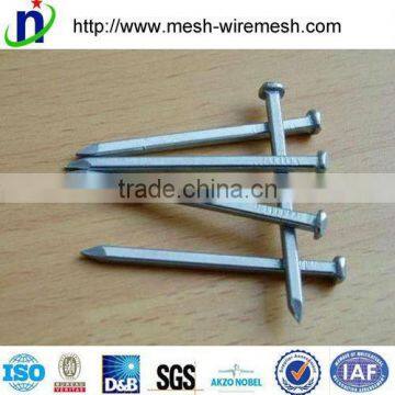 Anping Factory Common Nails,boat nail,roofing nails