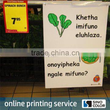 Custom size Plastic wall posters