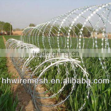 hot dipped galvanized razor wire/FACTORY PRICE