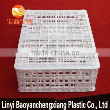 Plastic Transportation Cage for Transport Chicken Duck Birds Cails Quail Pigeon Rabbit Turkey photo-4