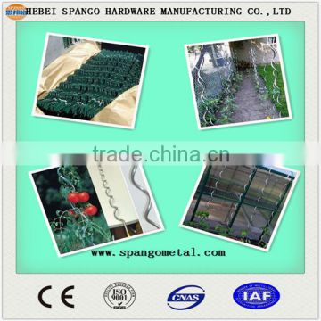 8.0mm galvanized wire spirals tomato growing support