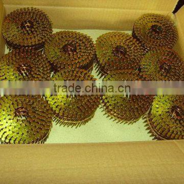 Coil Nails/ Coil Roofing Nails photo-3