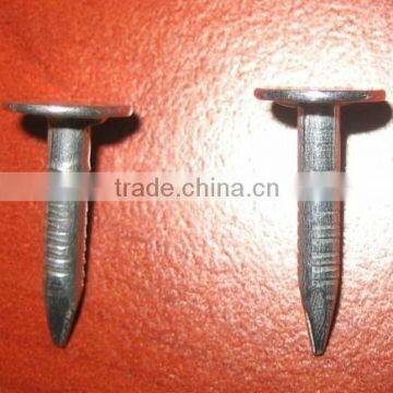 well quality well galvanized Clout Nail