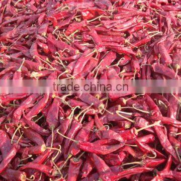 2015 New Crop Jinta Chili/ Jinta Pepper From China With Low Price photo-3