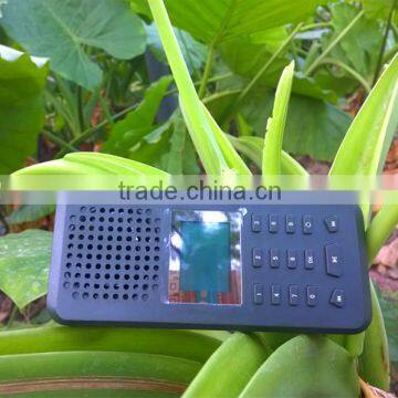 eagle sound mp3
