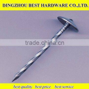 Twist shank roofing nails