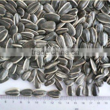 China flavor sunflower seeds by roasted with high quality