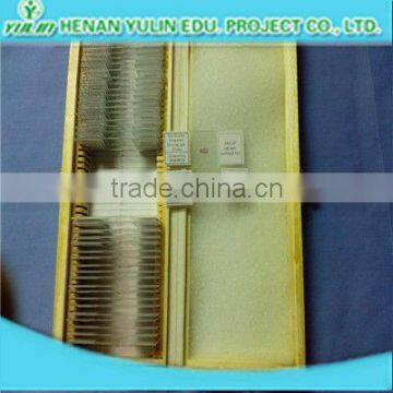 Microscope Slide And Cover Glass