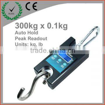 Digital weighing crane scale