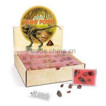 Authentic Dino Poop in a Box, 36pcs per display