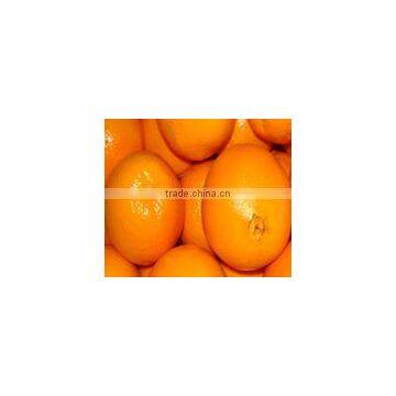 fresh navel orange